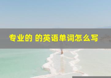 专业的 的英语单词怎么写